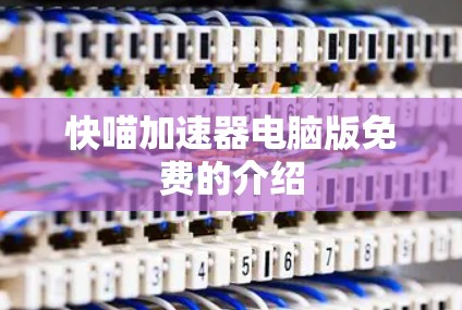 快喵加速器电脑版免费的介绍