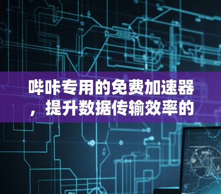 哔咔专用的免费加速器，提升数据传输效率的优质选择