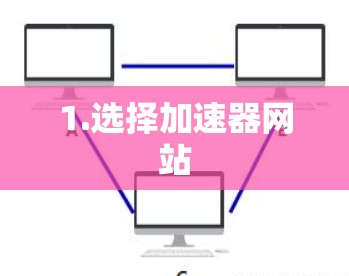 1.选择加速器网站