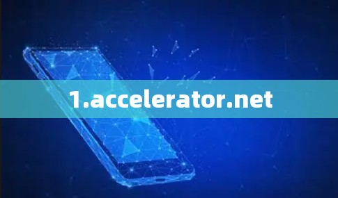 1.accelerator.net