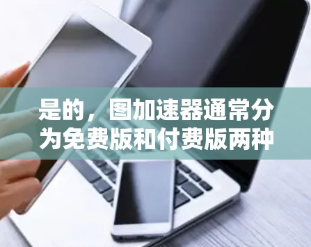 是的，图加速器通常分为免费版和付费版两种。免费版的价格通常较低，而付费版则会增加价格。免费版的主要特点包括