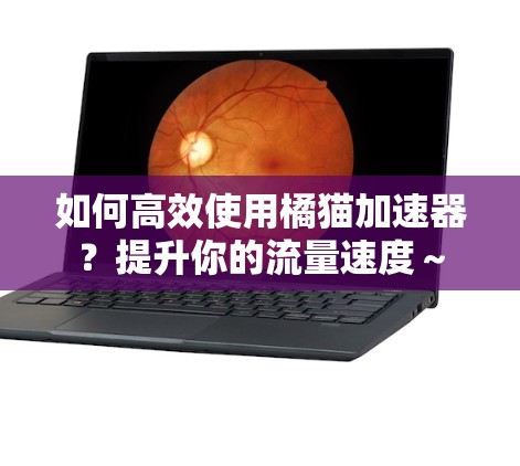 如何高效使用橘猫加速器？提升你的流量速度～