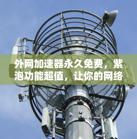 外网加速器永久免费,紫泡功能超值,让你的网络连接更顺畅! 外网加速器永久免费,紫泡功能超值,让你的网络连接更顺畅!