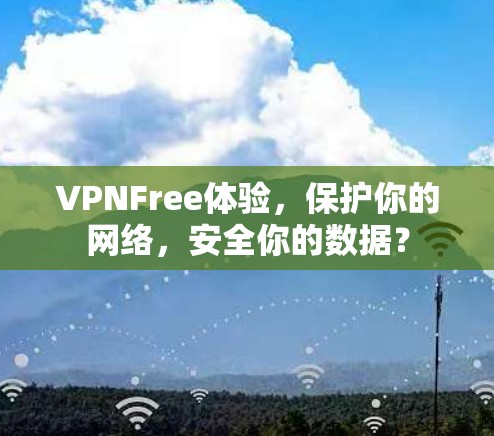 VPNFree体验，保护你的网络，安全你的数据？