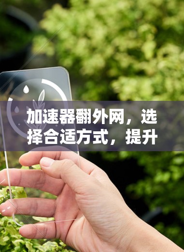 加速器翻外网,选择合适方式,提升网络体验 加速器翻外网,选择合适方式,提升网络体验