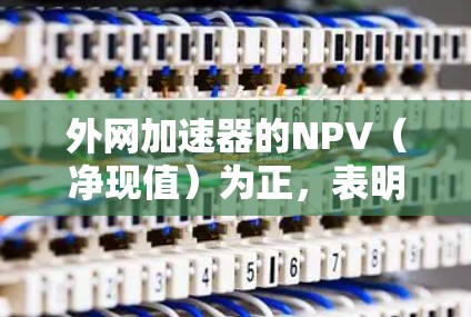 外网加速器的NPV（净现值）为正，表明它是有利可图的投资。以下是详细的分析