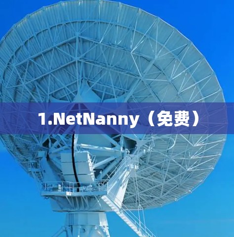 1.NetNanny(免费) 1.NetNanny(免费)
