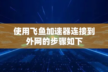 使用飞鱼加速器连接到外网的步骤如下 使用飞鱼加速器连接到外网的步骤如下