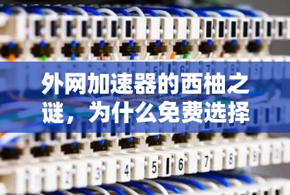 外网加速器的西柚之谜，为什么免费选择困难？