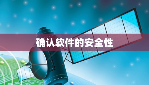 确认软件的安全性