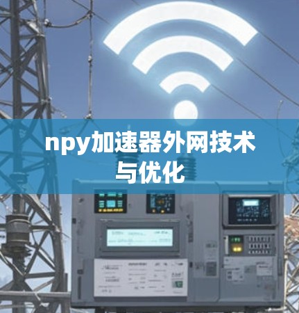 npy加速器外网技术与优化