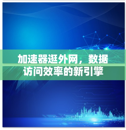加速器逛外网，数据访问效率的新引擎