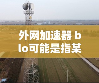外网加速器 blo可能是指某个特定的加速器或功能，但 blo这个词本身并不常见，可能是笔误或者是用户打字错误。如果你指的是 blo系列的加速器，可以考虑以下几点