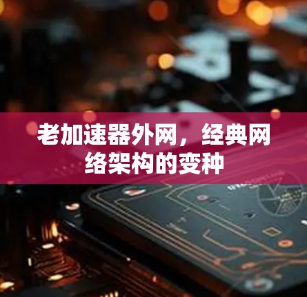 老加速器外网，经典网络架构的变种