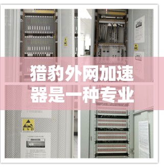猎豹外网加速器是一种专业的加速工具，旨在提升网页和应用的加载速度。以下是对该工具的详细介绍