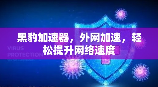 黑豹加速器，外网加速，轻松提升网络速度