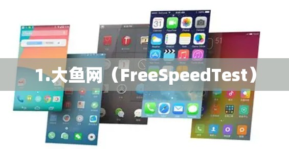1.大鱼网（FreeSpeedTest）
