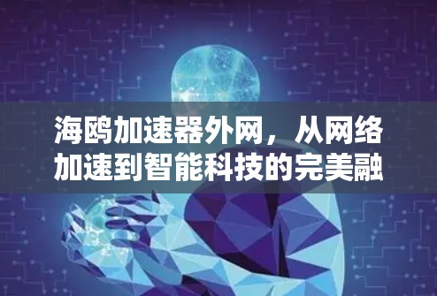 海鸥加速器外网，从网络加速到智能科技的完美融合