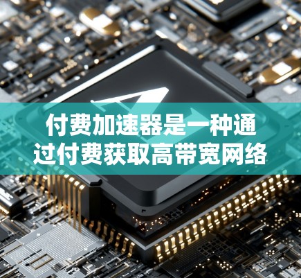 付费加速器是一种通过付费获取高带宽网络连接的工具，供用户提升网络性能。以下是对该概念的详细分析