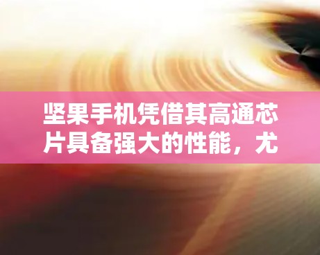 坚果手机凭借其高通芯片具备强大的性能，尤其在应用加速和网络连接方面表现优异，但整体性能与安卓旗舰手机相比略逊一筹。以下是一些关于坚果手机加速器和优化的建议，帮助你提升性能