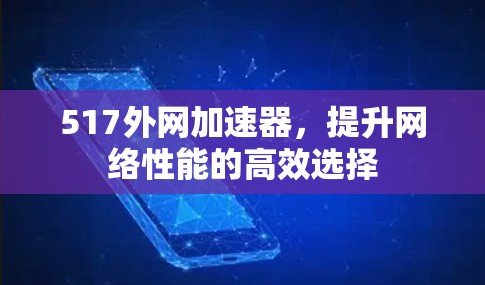 517外网加速器，提升网络性能的高效选择
