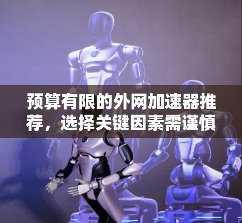 预算有限的外网加速器推荐，选择关键因素需谨慎