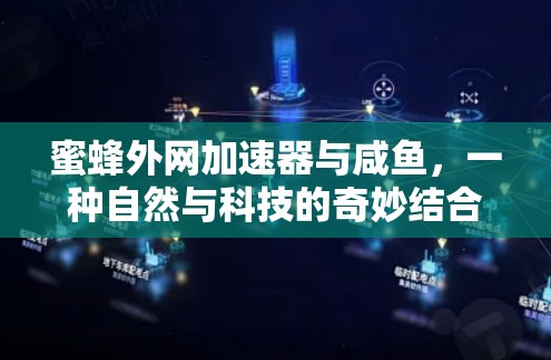 蜜蜂外网加速器与咸鱼，一种自然与科技的奇妙结合