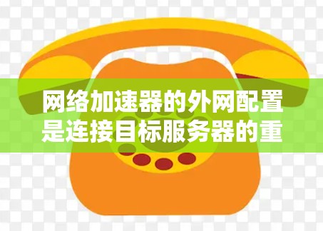 网络加速器的外网配置是连接目标服务器的重要步骤，涉及多个参数的设置。以下是对网络加速器外网配置的详细步骤