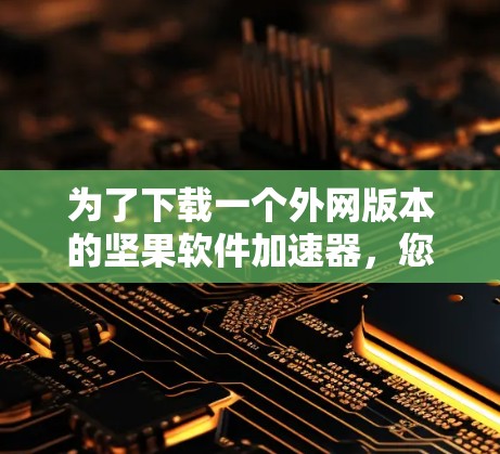 为了下载一个外网版本的坚果软件加速器，您可以按照以下步骤进行