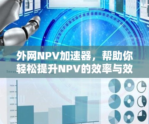 外网NPV加速器，帮助你轻松提升NPV的效率与效果