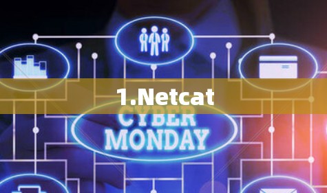 1.Netcat