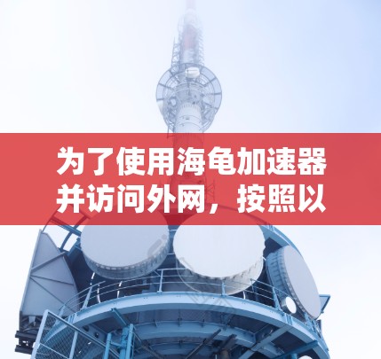 为了使用海龟加速器并访问外网，按照以下步骤操作