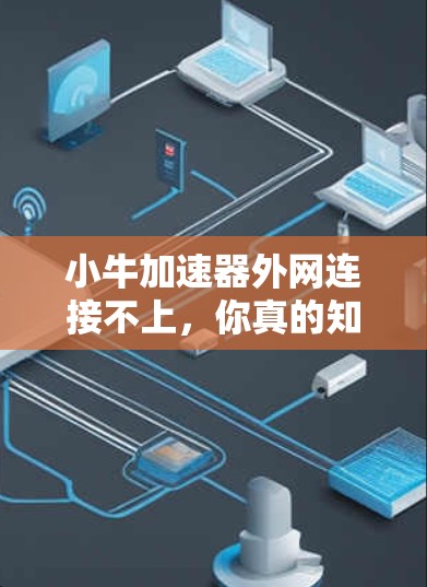 小牛加速器外网连接不上，你真的知道吗？