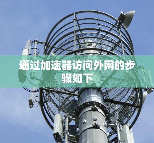 通过加速器访问外网的步骤如下