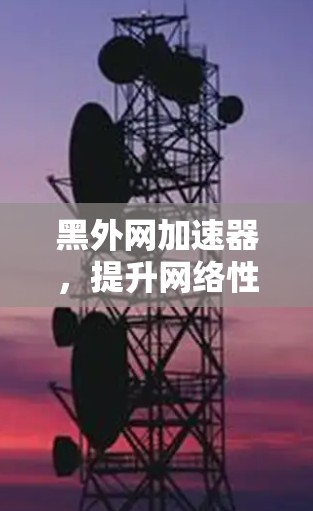黑外网加速器，提升网络性能的高效选择