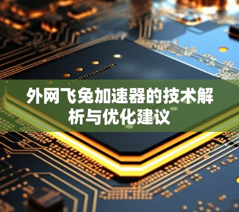 外网飞兔加速器的技术解析与优化建议