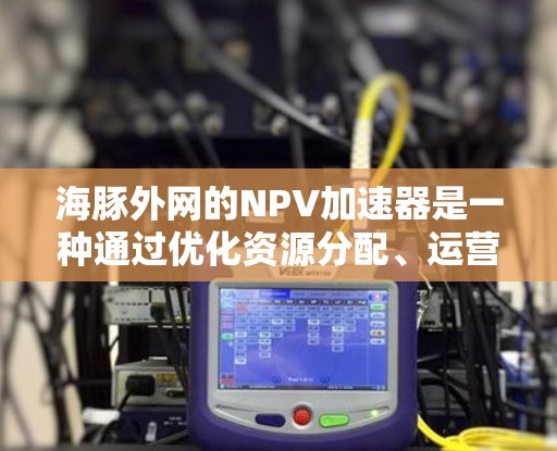 海豚外网的NPV加速器是一种通过优化资源分配、运营策略和定价策略等方法来提高投资项目的净现值（NPV）的工具。以下是对其的详细分析