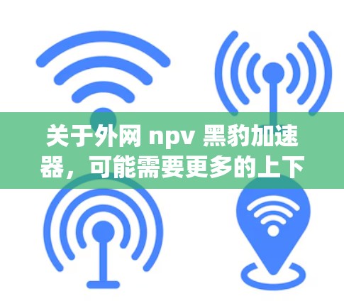 关于外网 npv 黑豹加速器，可能需要更多的上下文信息来准确回答。以下是一些可能的解释和答案