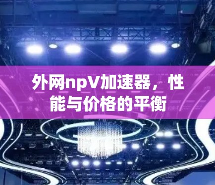 外网npV加速器，性能与价格的平衡