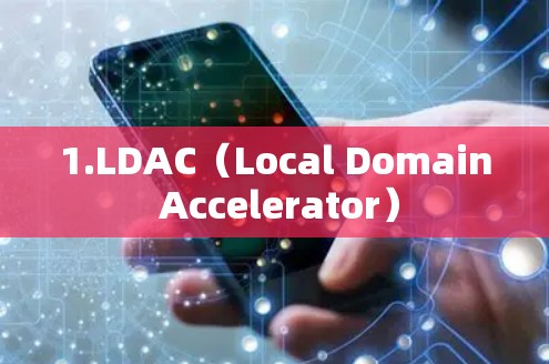 1.LDAC（Local Domain Accelerator）