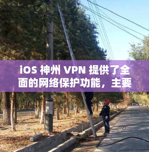 iOS 神州 VPN 提供了全面的网络保护功能，主要包括