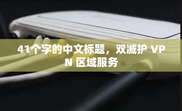 41个字的中文标题，双减护 VPN 区域服务