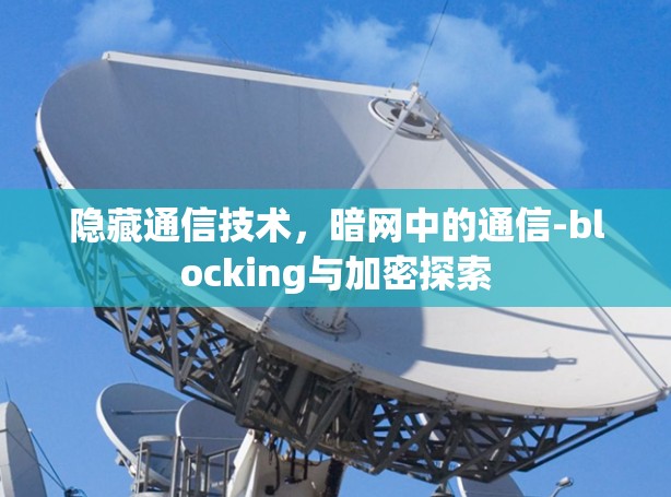 隐藏通信技术，暗网中的通信-blocking与加密探索