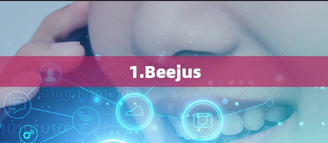 1.Beejus