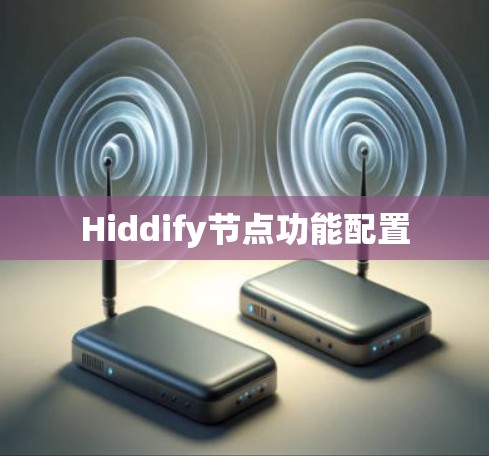 Hiddify节点功能配置