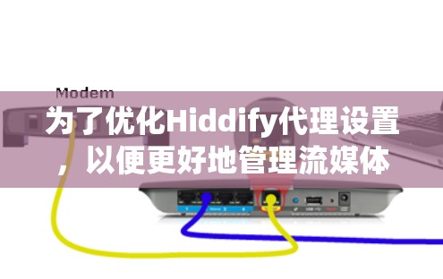 为了优化Hiddify代理设置，以便更好地管理流媒体和视频内容，您可以按照以下步骤进行操作
