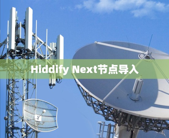 Hiddify Next节点导入