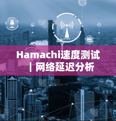 Hamachi速度测试｜网络延迟分析