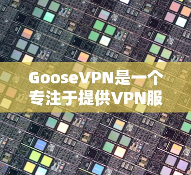 GooseVPN是一个专注于提供VPN服务的软件，旨在帮助用户进行视频通话和网络连接，尤其是针对需要VPN服务的用户。以下是其主要特点和综合评价