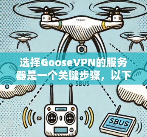 选择GooseVPN的服务器是一个关键步骤，以下是逐步指南